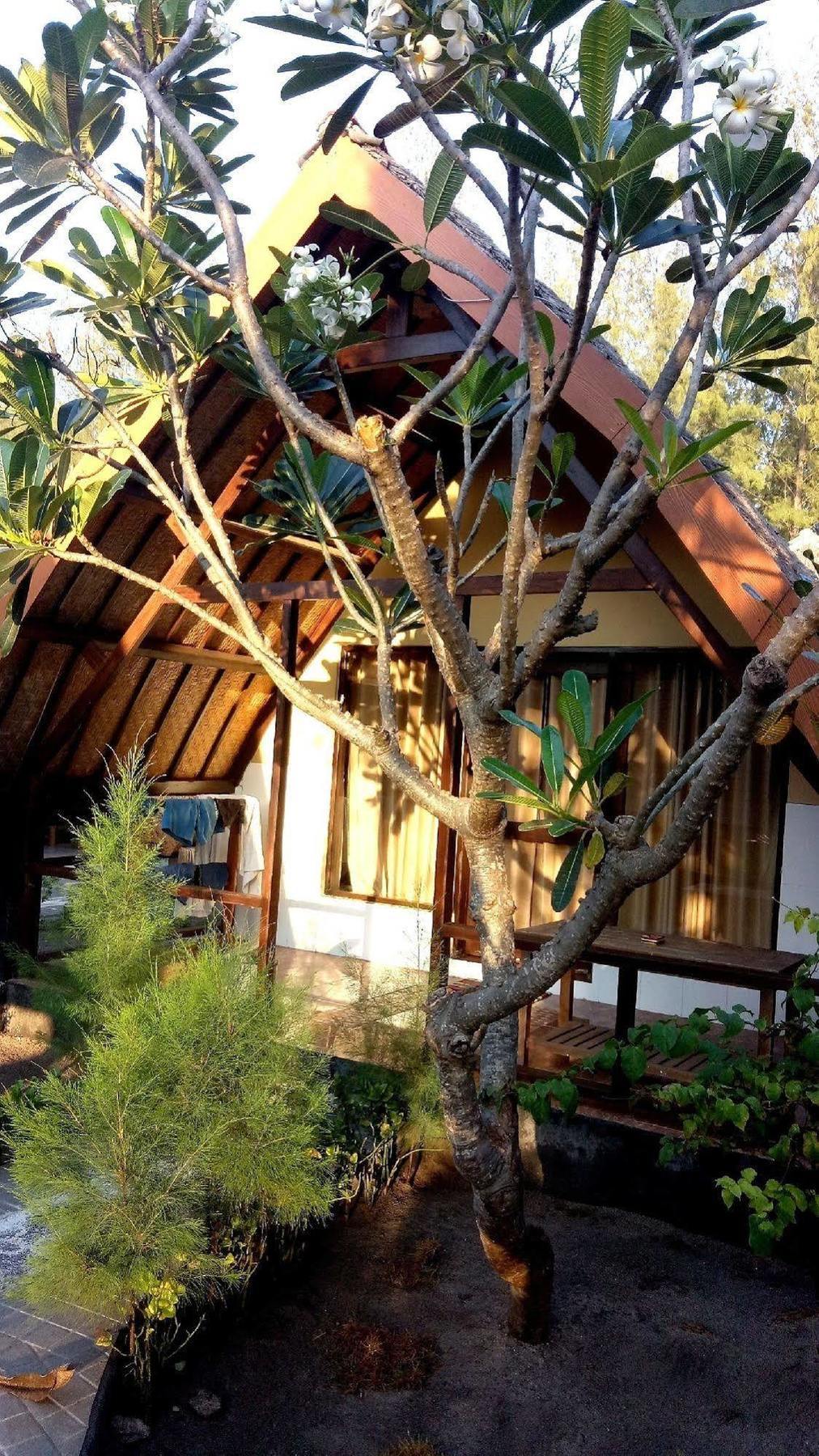 Pondok Windy Gili Trawangan Exterior foto